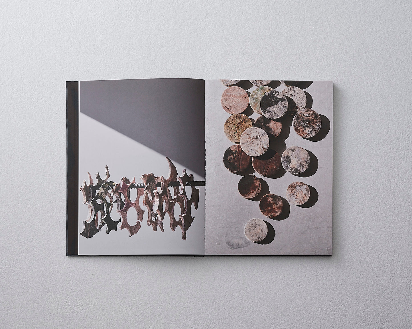 Naomi Hakamata "Food Art -Moment of Beauty-"