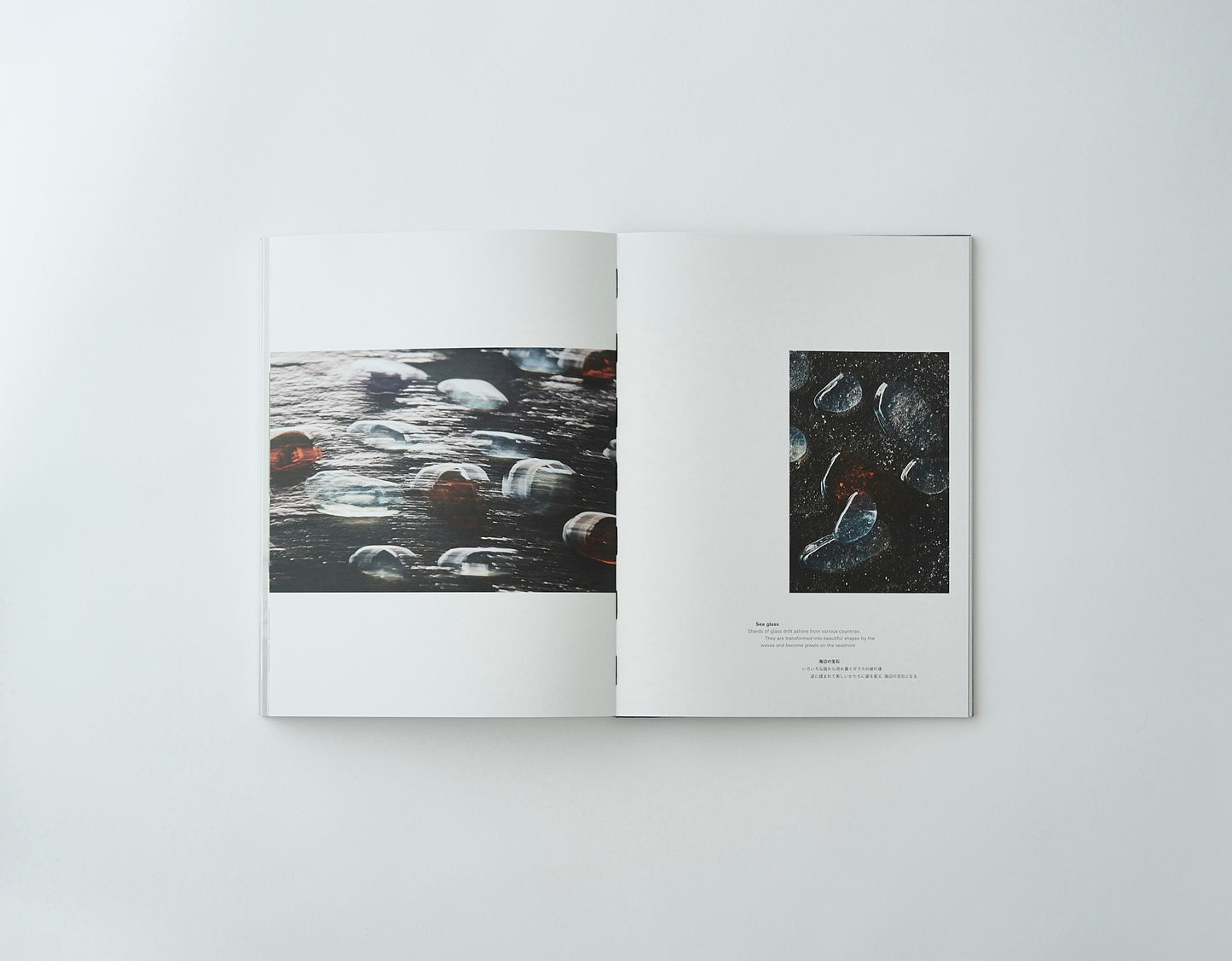 袴田尚弥 FOOD ART -Moment of beauty-