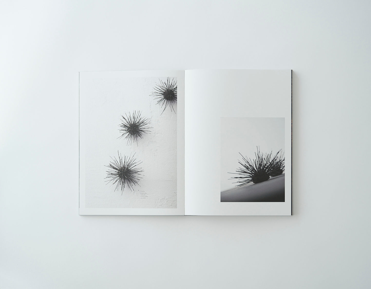袴田尚弥 FOOD ART -Moment of beauty-
