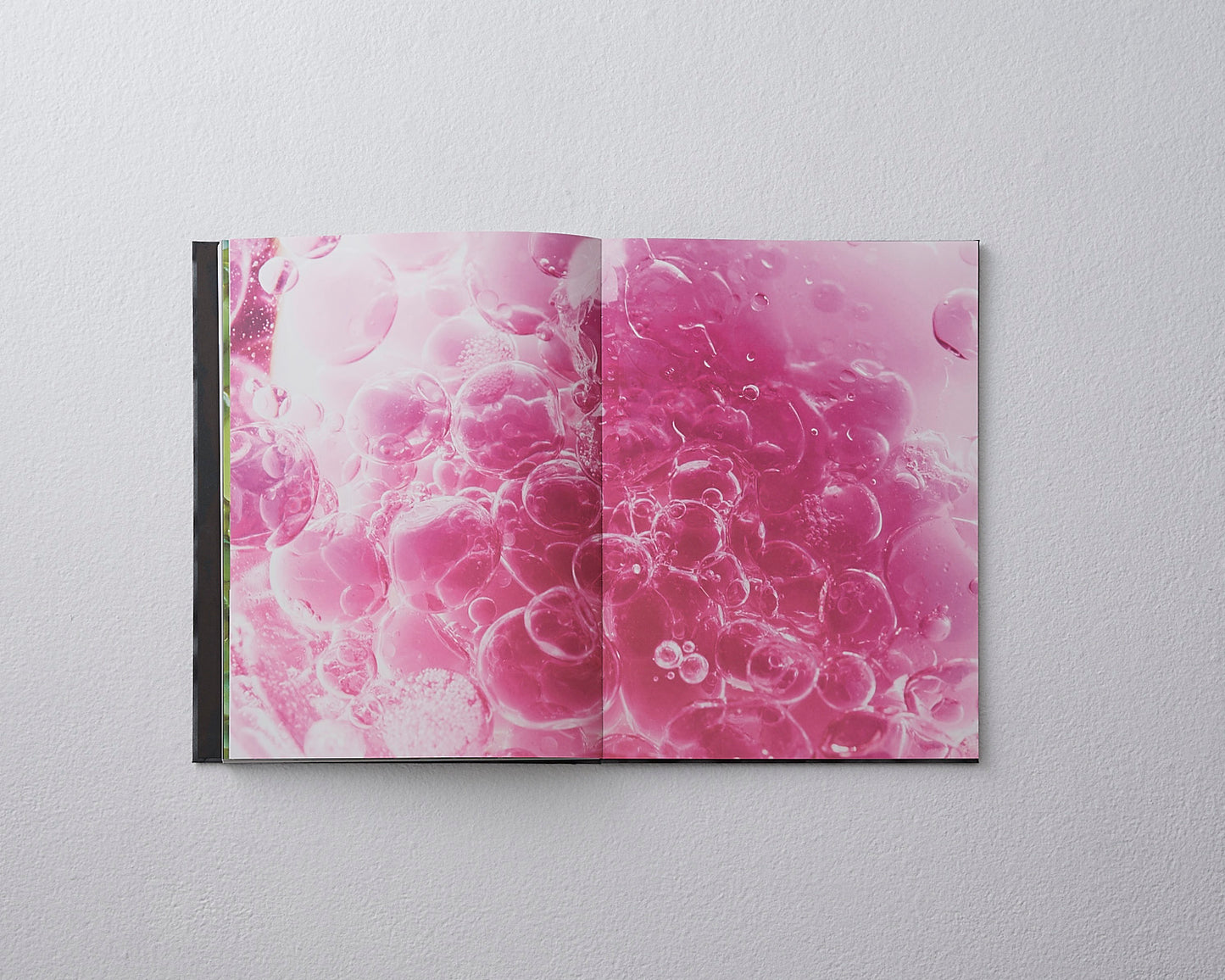 Naomi Hakamata "Food Art -Moment of Beauty-"