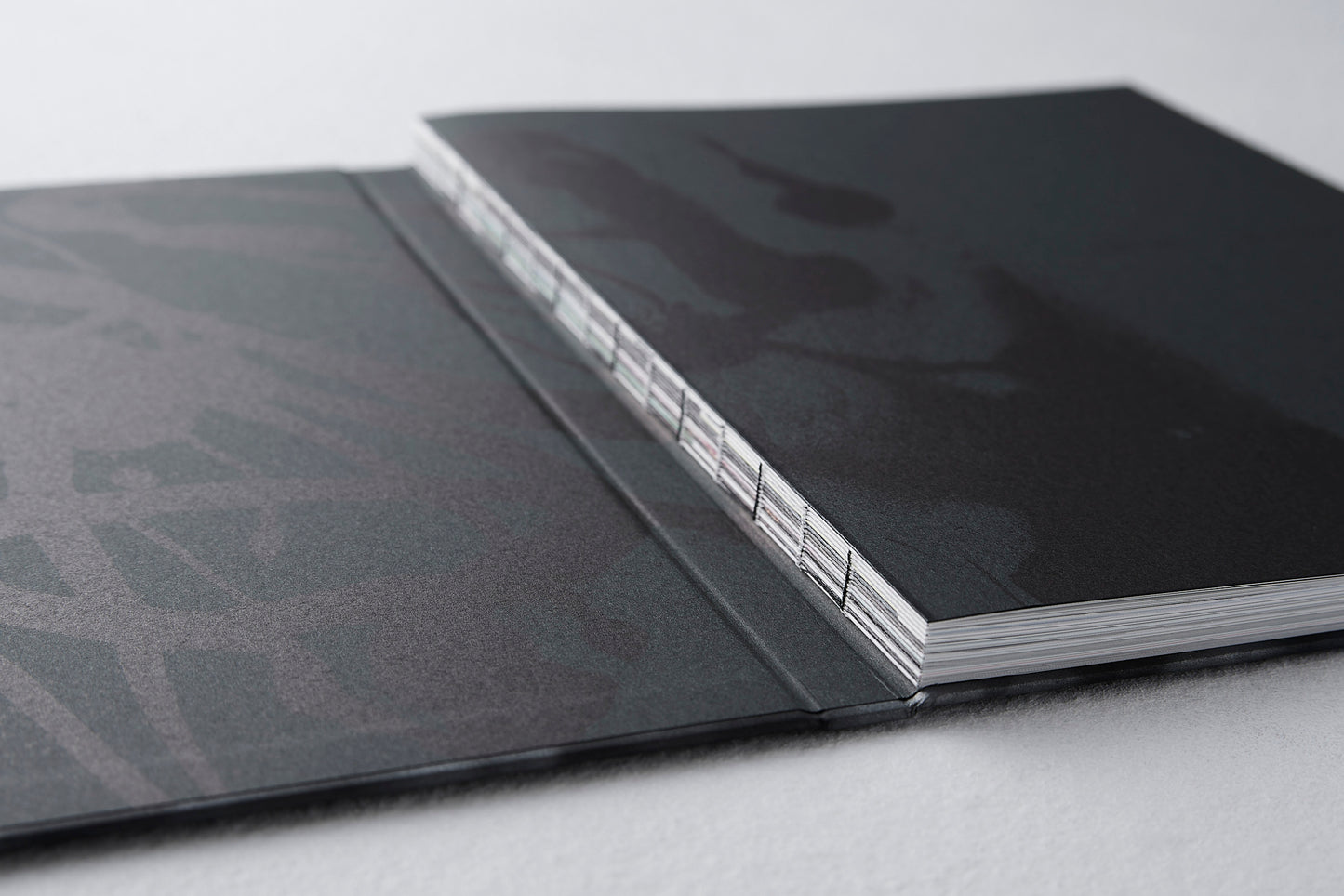 Naomi Hakamata "Food Art -Moment of Beauty-"